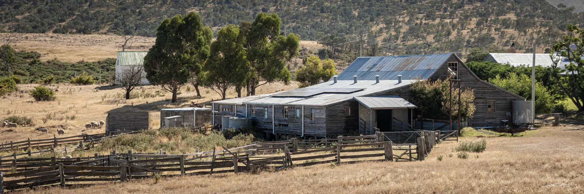 Tasmania
