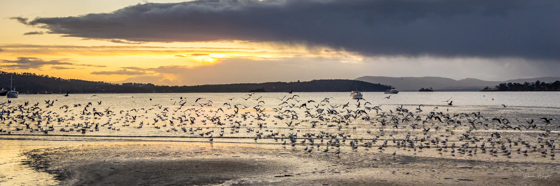 Tasmania