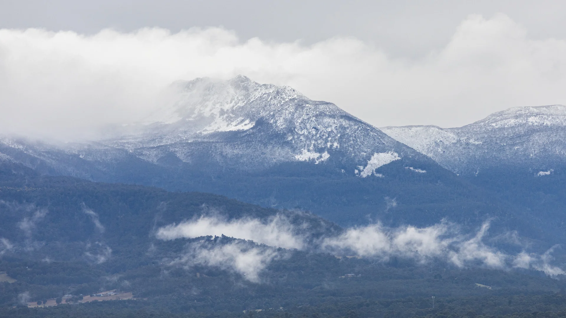 Tasmania